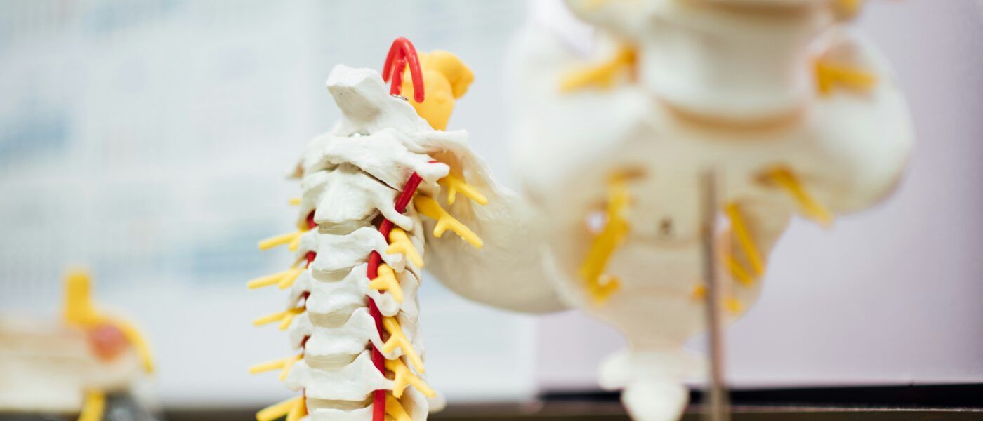 Best Cervical Traction Devices for Migraine Relief in 2026: 5 Top-Rated Picks for Neck Tension and Headache Management