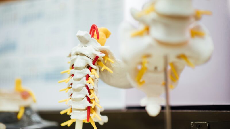Best Cervical Traction Devices for Migraine Relief in 2026: 5 Top-Rated Picks for Neck Tension and Headache Management