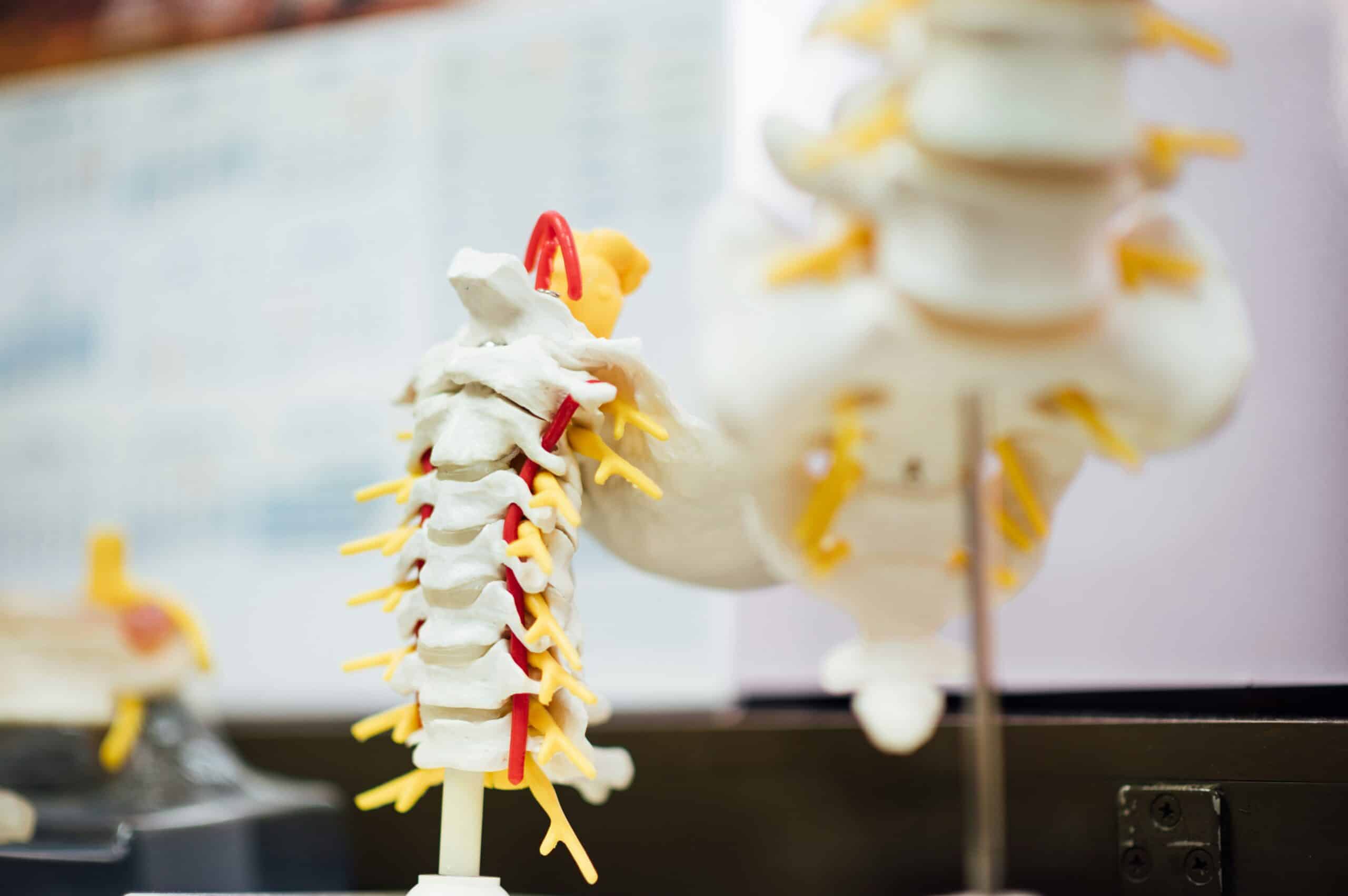 Best Cervical Traction Devices for Migraine Relief in 2026: 5 Top-Rated Picks for Neck Tension and Headache Management
