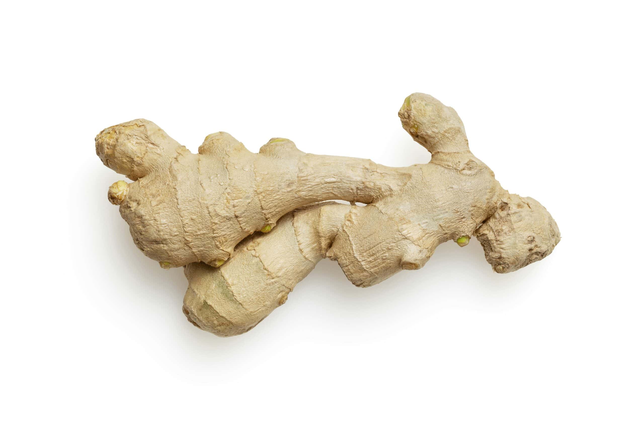Best Ginger Supplements for Migraine Nausea in 2026: 5 Picks That Match Prescription Nausea Drugs in Trials