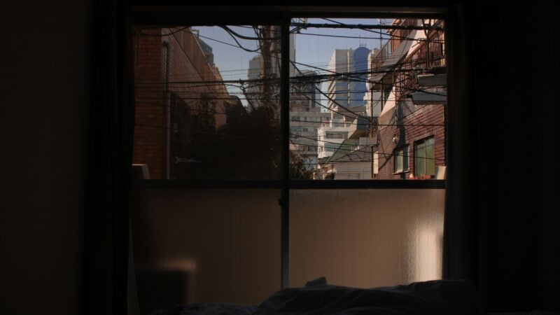Best Blackout Sleep Tents and Canopies in 2026: Darkness When the Room Cannot Deliver It