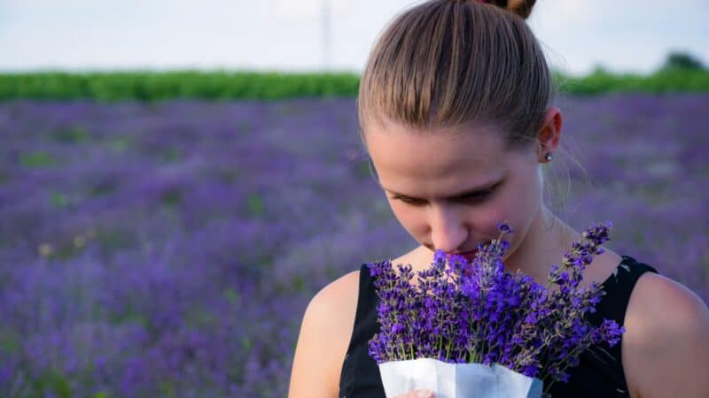 Are Strong Smells a Migraine Trigger: Osmophobia, Premonitory Signs, and Common Culprits