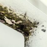 mold showing on housing