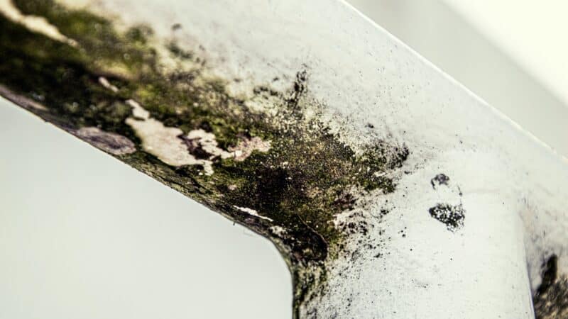 Can Mold Trigger Migraines? What Damp Indoor Air Really Does
