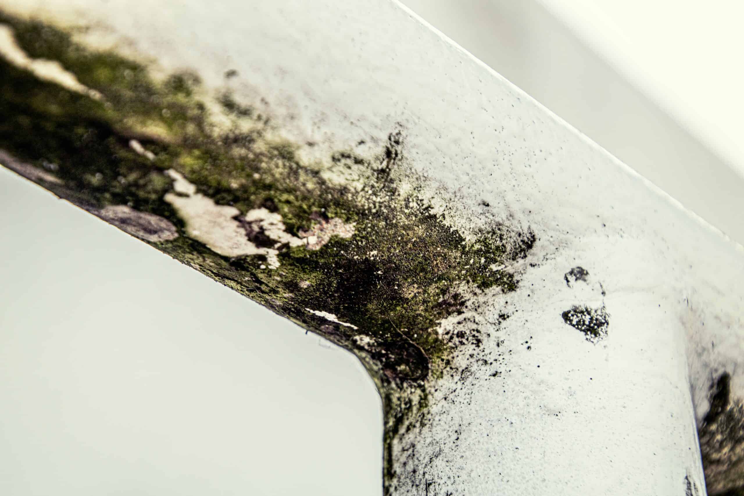 Can Mold Trigger Migraines? What Damp Indoor Air Really Does