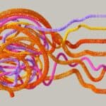 brain diagram showing flow