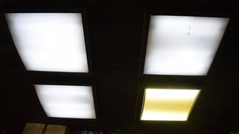 Best Fluorescent Light Filters and Ceiling Light Covers in 2026: Fixing the Light You Cannot Switch Off