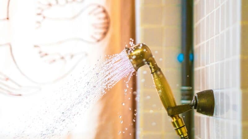 Best Inline Shower Filters and Replacement Cartridges in 2026: What They Remove, What They Cannot, and Cartridge Economics