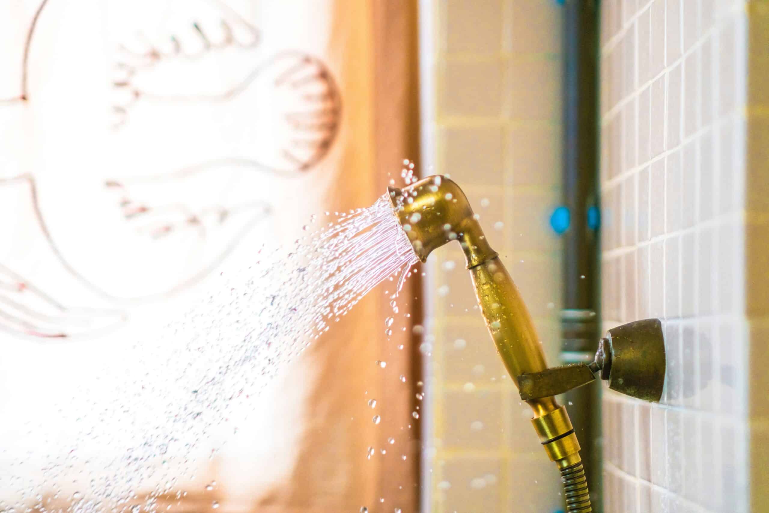 Best Inline Shower Filters and Replacement Cartridges in 2026: What They Remove, What They Cannot, and Cartridge Economics